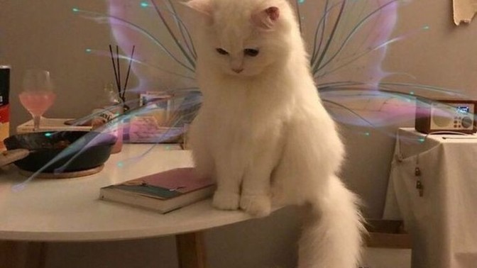 "Keşke yapmasaydım..." dediğiniz bir şey var mı? Varsa neydi?