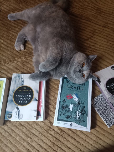 🐾Patili dostunun fotoğrafını paylaşır mısın?