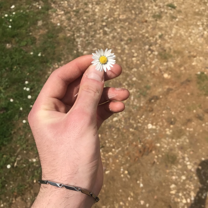 Bir bitki olacak olsaydınız ne olurdunuz?