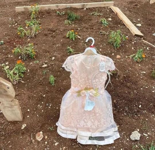 Memleketimize bayram gelmiş, Sizin oraya geldimi?