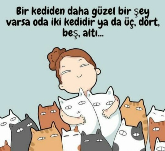 Bir kediden daha tatlı bir şey söyle?