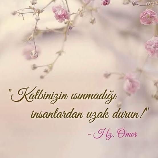🌸