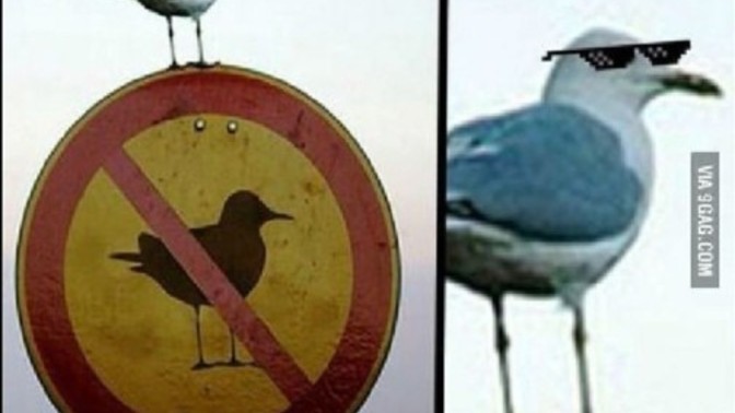 Kurallar çiğnenmek için midir?
