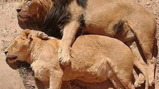 Günde kaç saat uyku uyuyorsunuz?