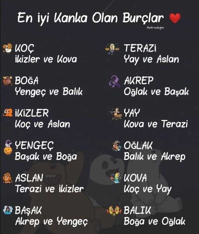 Sizin en iyi kanka olduğunuz burçlar hangisi?
