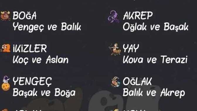 Sizin en iyi kanka olduğunuz burçlar hangisi?