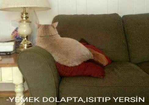 Trip atma konusunda nasılsın😛?