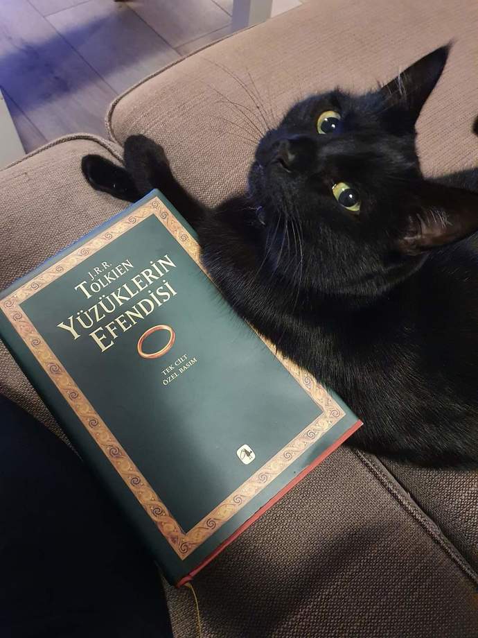 Kitap okumanın hayatınızda ki yeri nedir?