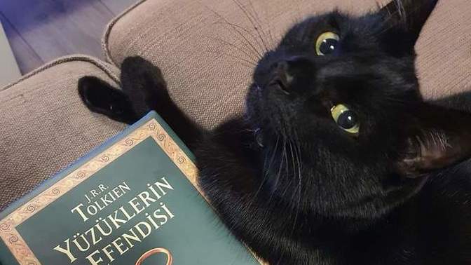 Kitap okumanın hayatınızda ki yeri nedir?