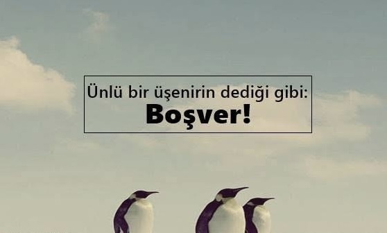 En son neyi boşverdiniz?