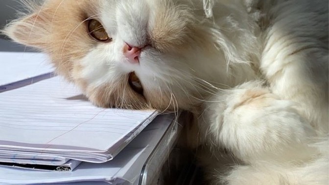 Hayatınızda en çok neyi özlüyorsunuz?