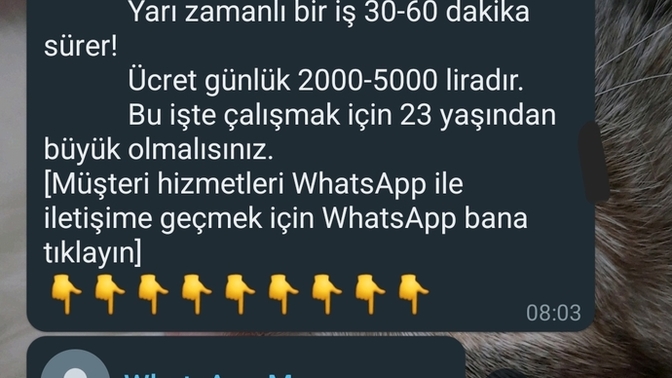 Bana böyle bir mesaj geldi. Ne alaka ne bu?