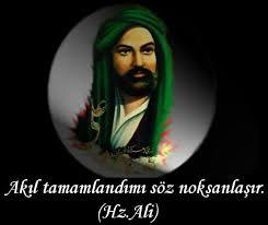 Akıl insanin neresindedir?