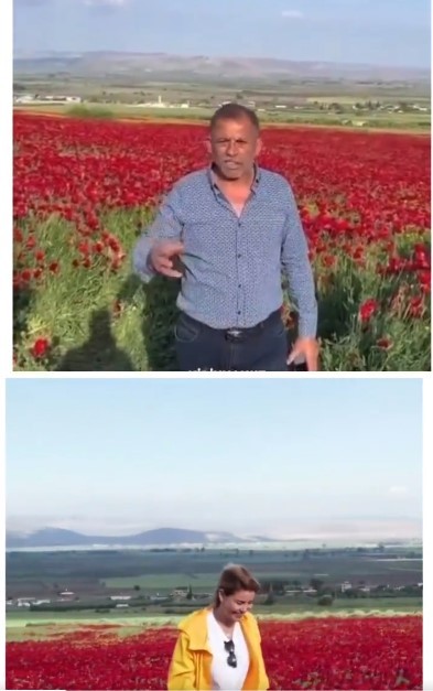 Tarla sahibi videolu paylaşımıyla Gülben Ergene seslendi.