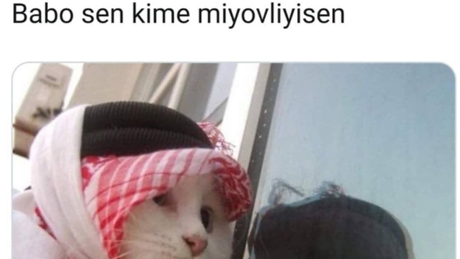 Keşke dilini anlayabilsem dediğiniz bir hayvan türü var mı?