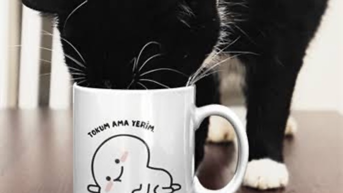 Sevdiğiniz insanlara nazınız geçiyor mu?