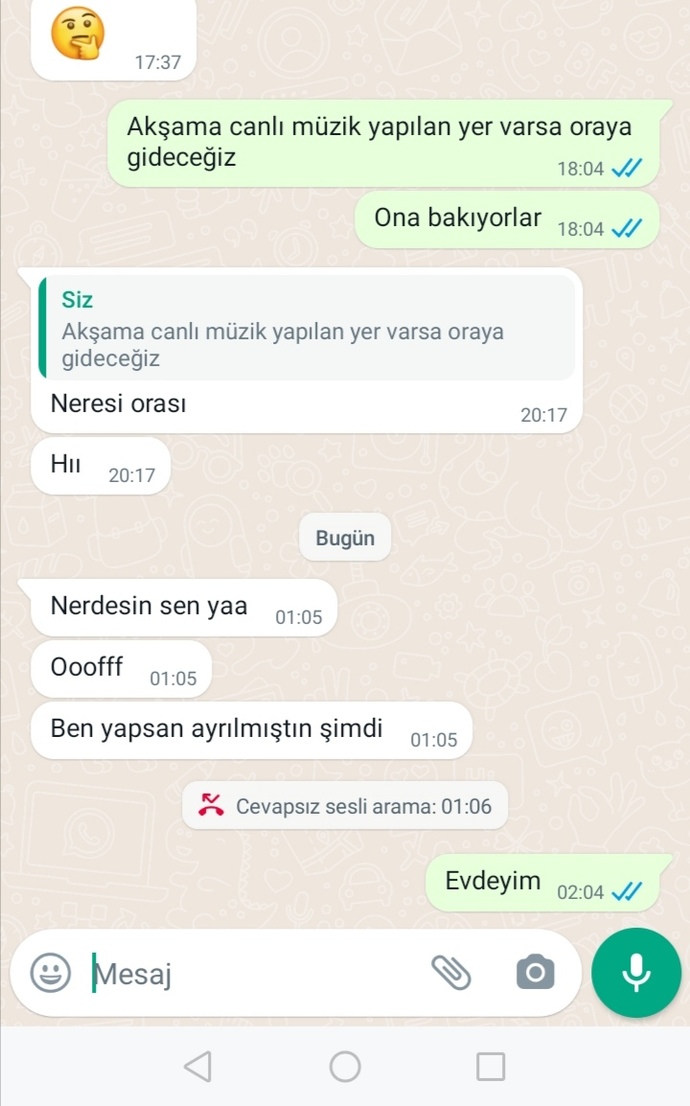 Gittiği yeri söylemeyen, hesap vermeyen, izinli gününde bile yazmaya gocunup bahane buluyordu. Bende böyle yaptım. İyi oldu mu?