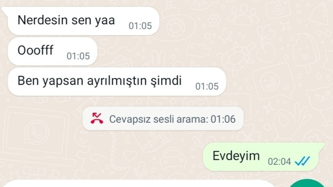 Gittiği yeri söylemeyen, hesap vermeyen, izinli gününde bile yazmaya gocunup bahane buluyordu. Bende böyle yaptım. İyi oldu mu?