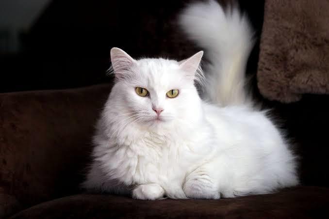 😻😻😻