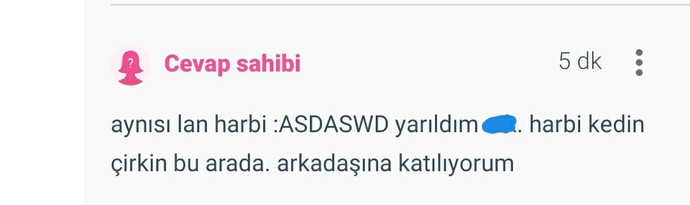 Çirkin kedi diye bir şey var mıdır?