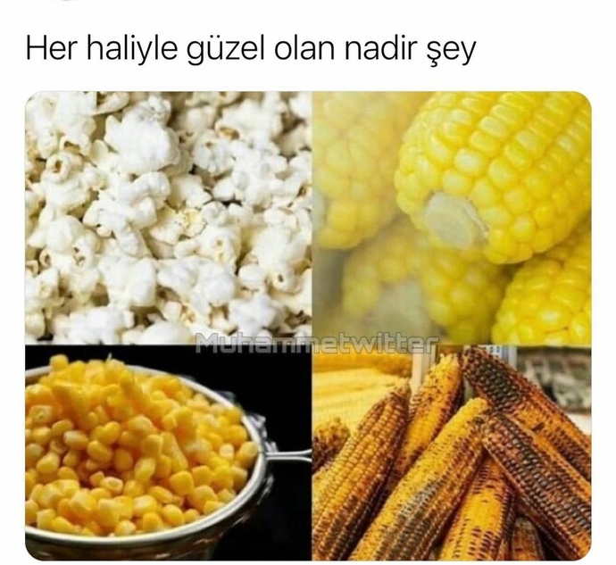 Mısırın hangi hali favoriniz?