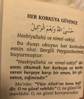 Kedi köpekten falan çok korkuyorum, bunu nasıl yenerim?