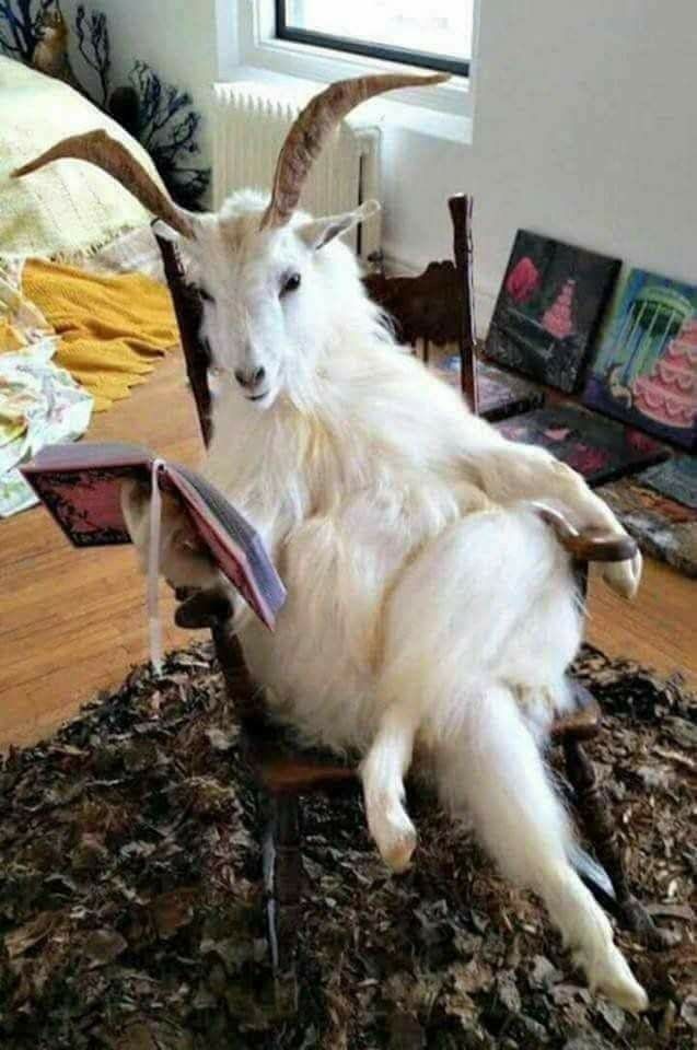 Bir özlü söz bırak✨️?