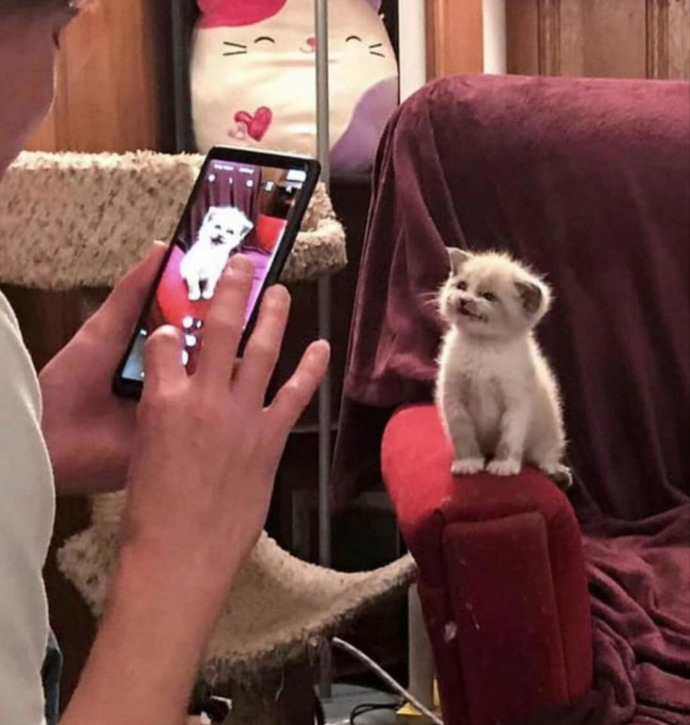 😍