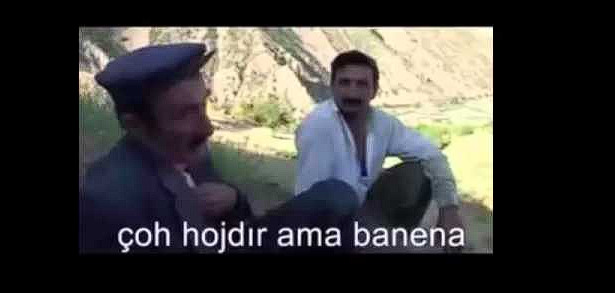 Bu hanımefendi insan mıdırr?