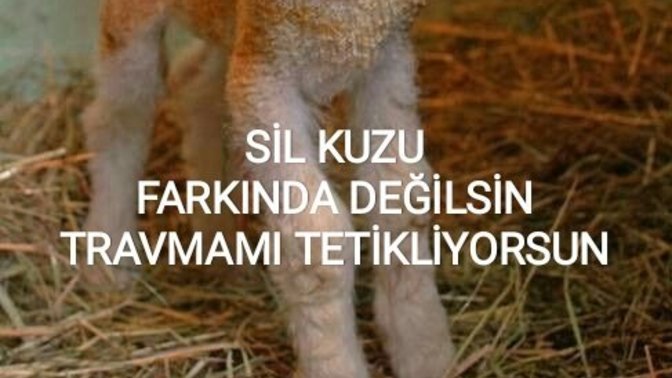 Travmalarınız var mı?