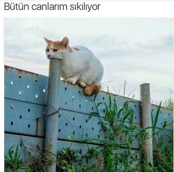 Can sıkıntısı size en fazla neler yaptırır?