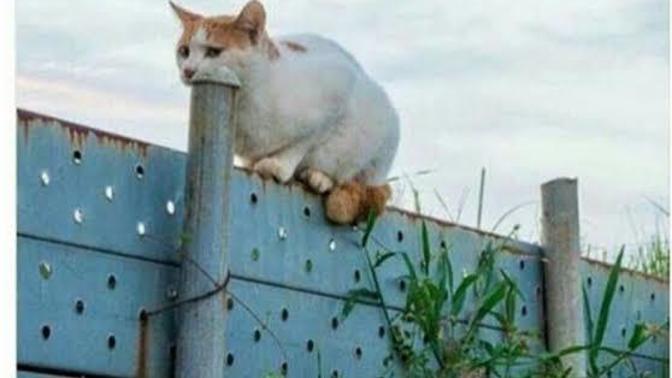 Can sıkıntısı size en fazla neler yaptırır?