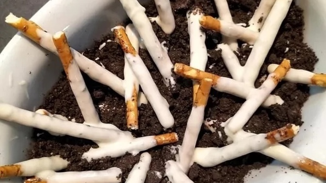 Ne yediğine dikkat ediyor musun, yoksa önüne ne gelirse yiyenlerden misin?