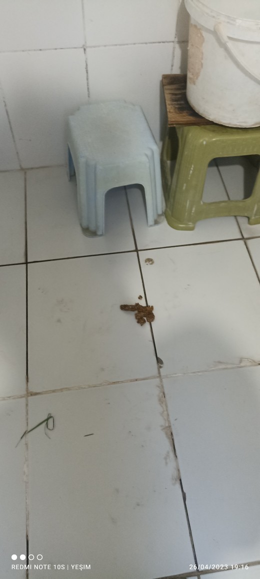 Ne yapabilirim ne diyebilirim?