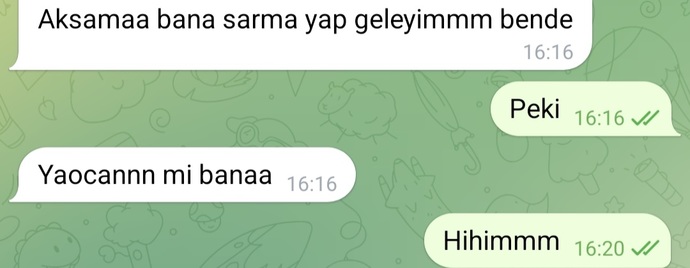 Sarma sarmayı bilmeyen kızdan eş olur mu?