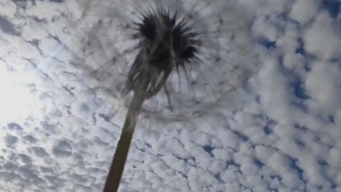 Sizin için mutluluğun tanımı nedir 🍁?