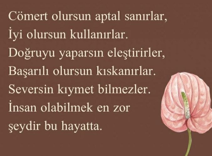 Bugün okuduğum en güzel cümle nedir benim için en güzel cümle bu galiba insan olabilmek neden bu kadar zor?