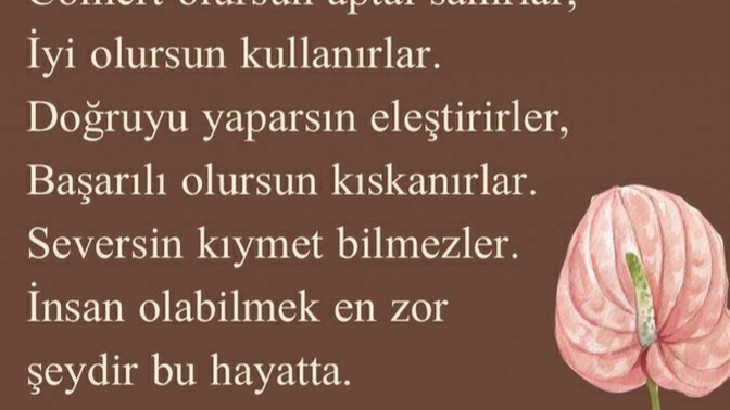 Bugün okuduğum en güzel cümle nedir benim için en güzel cümle bu galiba insan olabilmek neden bu kadar zor?