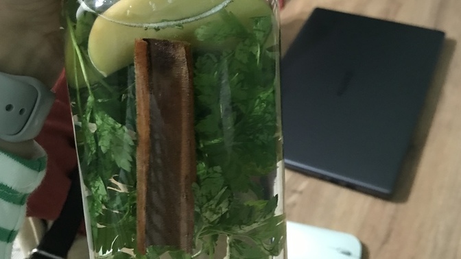 Detoks suyu yapan var mı?