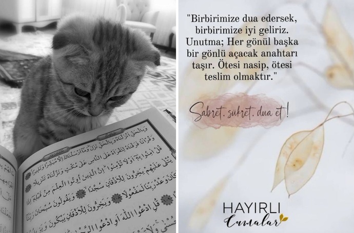 İmkânsız denilen bir şey yok hayatta. Bir dua ile başlar her şey...🦋