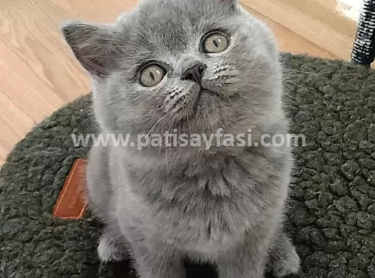 Görselini en iyi ifade eden kısa notunu buraya ekleyebilirsin..