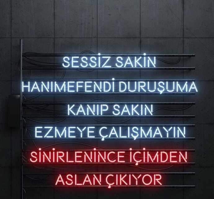 Aslan kesilirim başınıza
