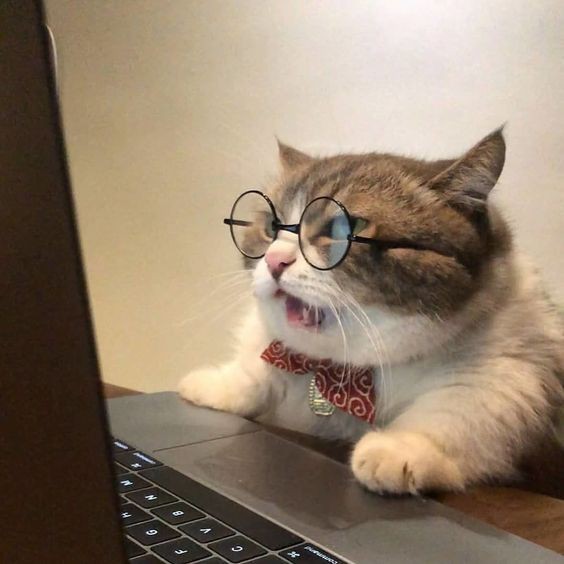 Erkekler de stalk yapıyor mudur?