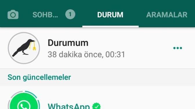 Wp durumunuzda ne yazıyor?