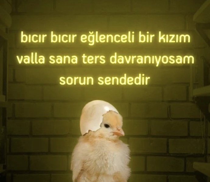 kimine ters kimine doğru 😄