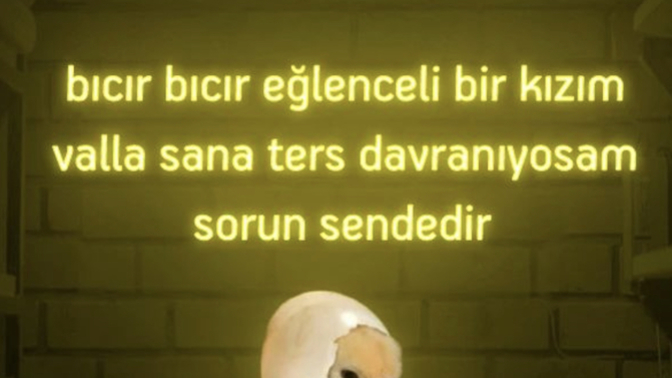 Genel olarak ters davranan mısın yoksa eğlenceli mi?
