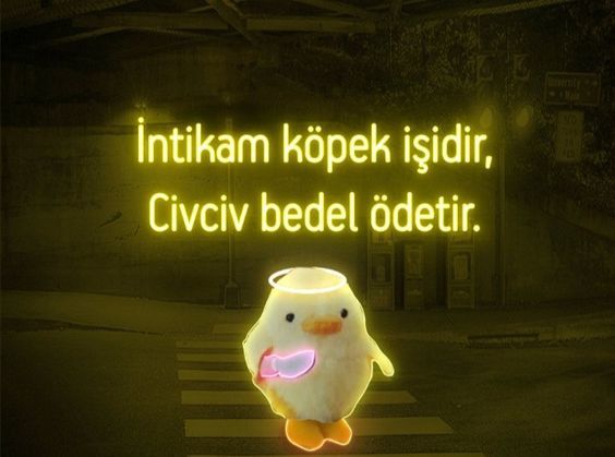 Katil civcivle tanıştıran insan, iyi ki varsın