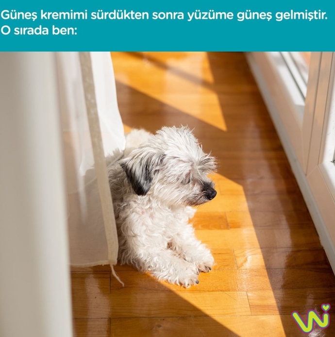 Güneş kremi sürdüğünüzde cildinizi güvende hissediyor musunuz?