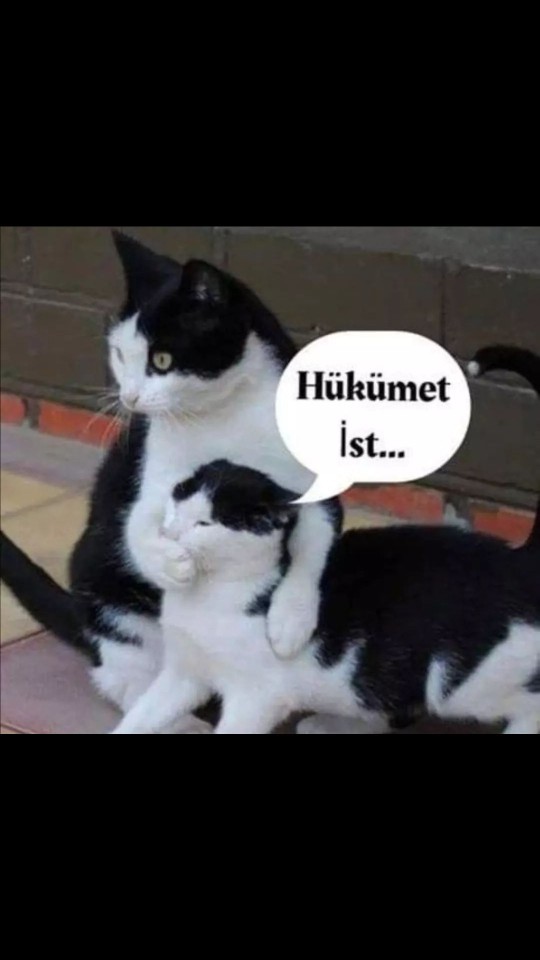 Söylemek istediğiniz her şeyi rahatça söyleyebiliyor musunuz?