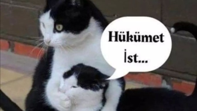 Söylemek istediğiniz her şeyi rahatça söyleyebiliyor musunuz?